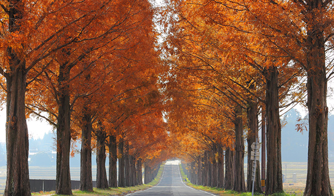 関西のおすすめ紅葉ツーリングスポット